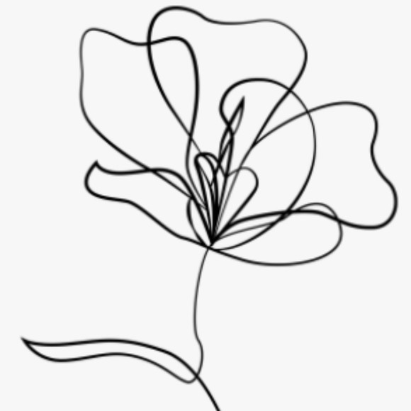 wearwillow
